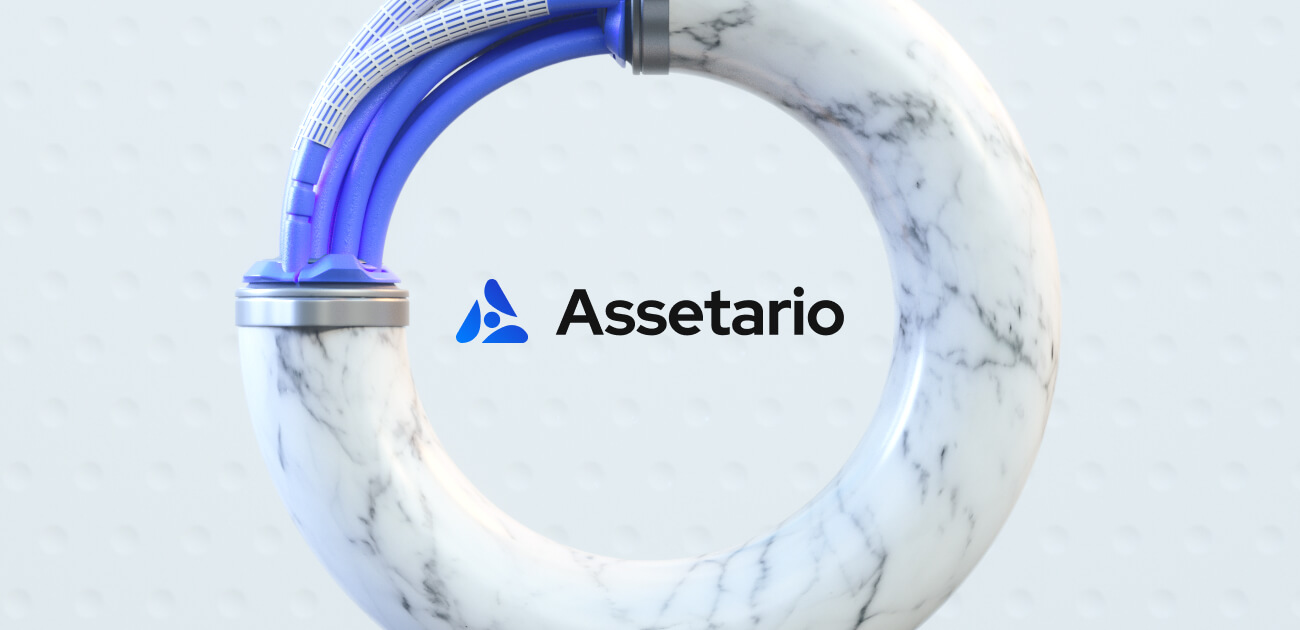 Assetario – Branding for the SaaS platform - Website Development - Photo 1