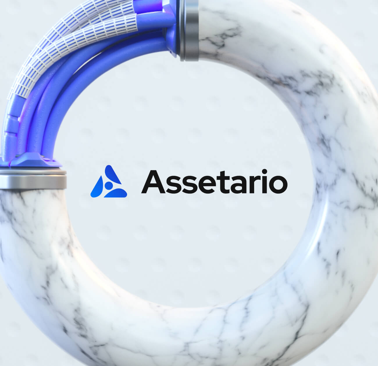 Assetario – Branding for the SaaS platform - Website Development - Photo 1