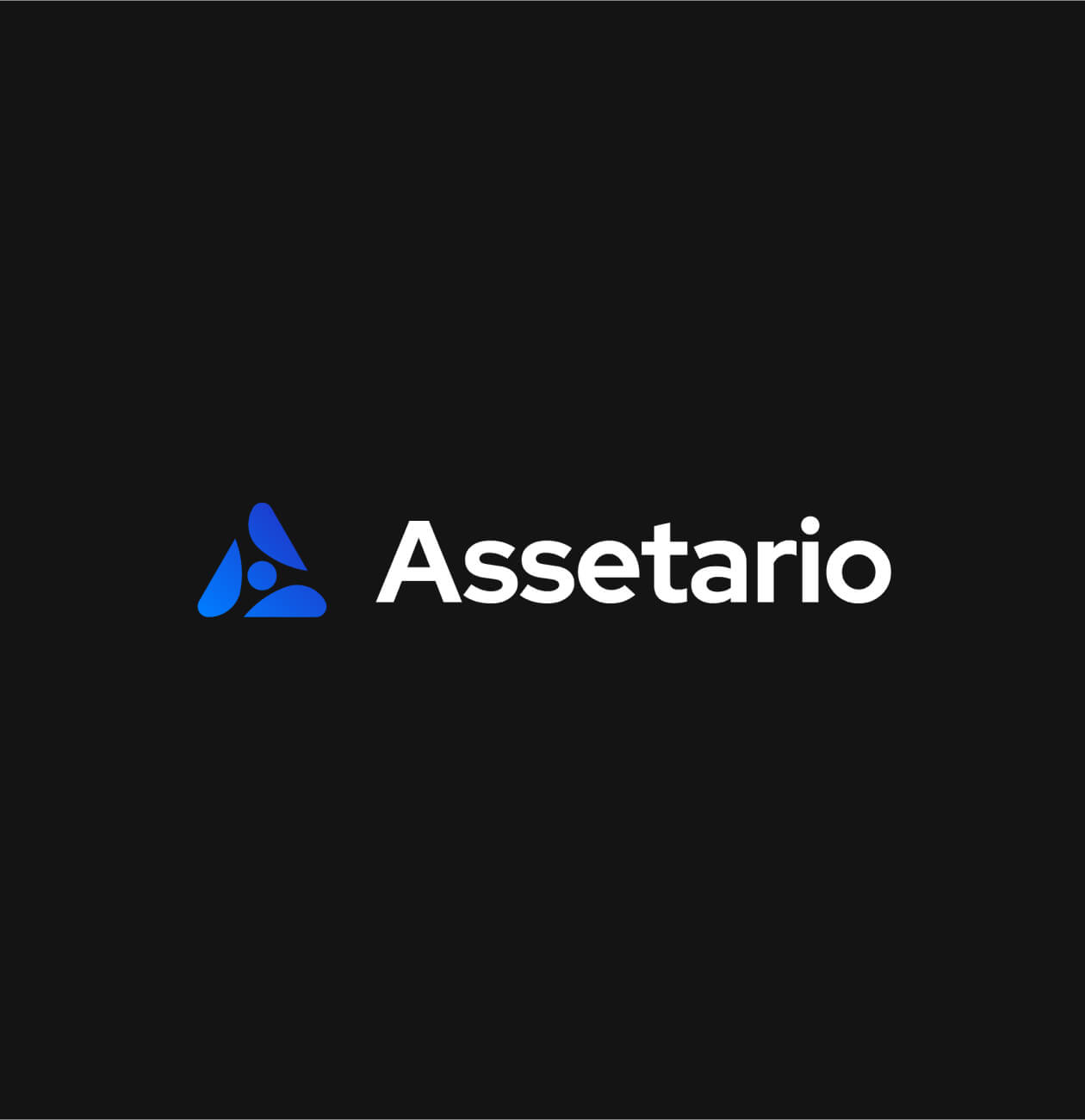 Assetario – Branding per la piattaforma SaaS - Website Development - Photo 2