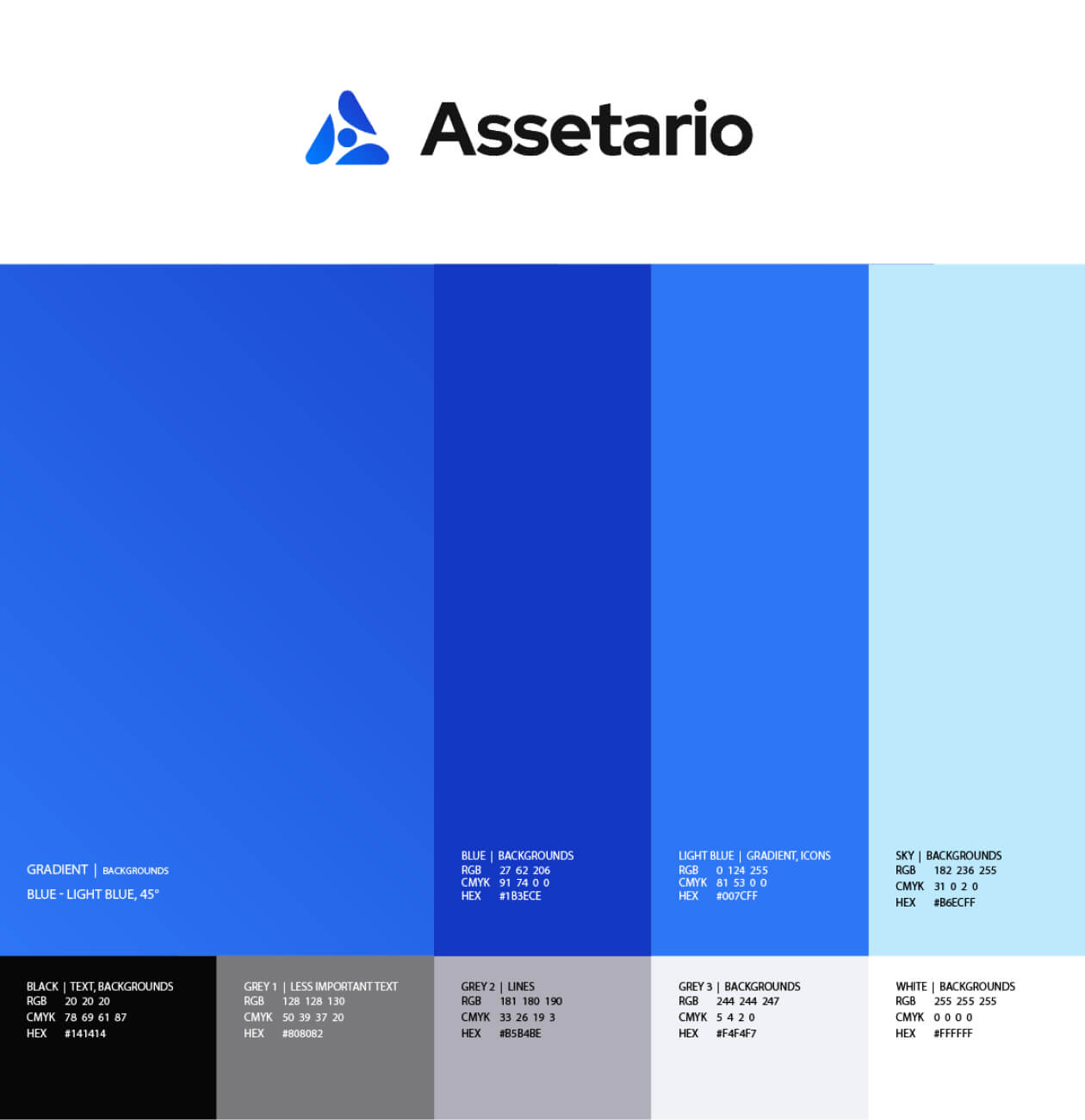 Assetario – Branding per la piattaforma SaaS - Website Development - Photo 4