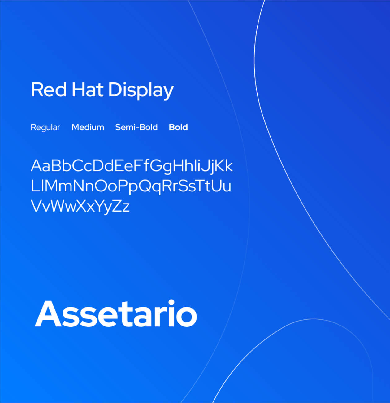 Assetario – Branding for the SaaS platform - Website Development - Photo 8