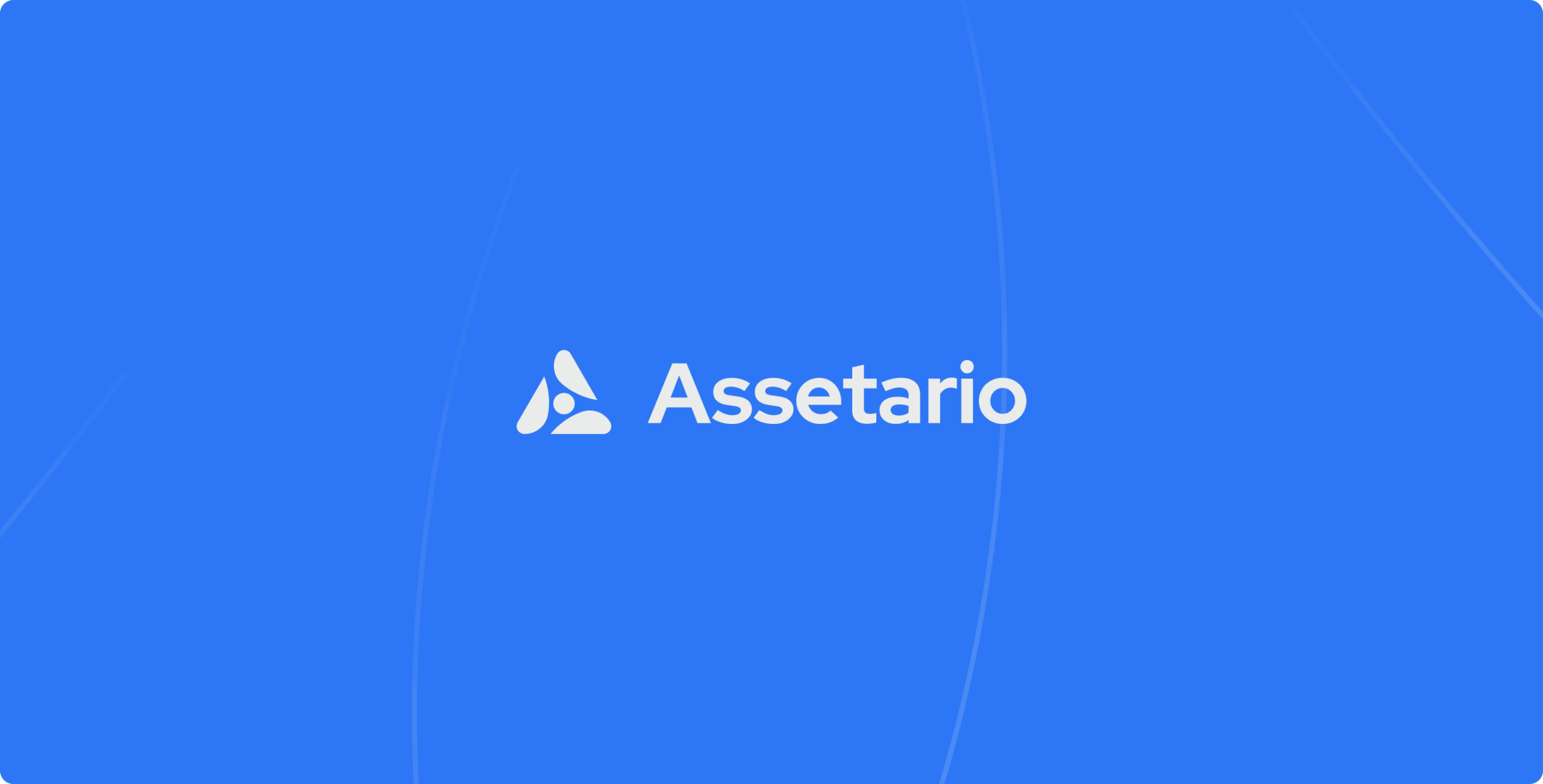 Assetario – branding for the SaaS platform - Website Development - Photo 4