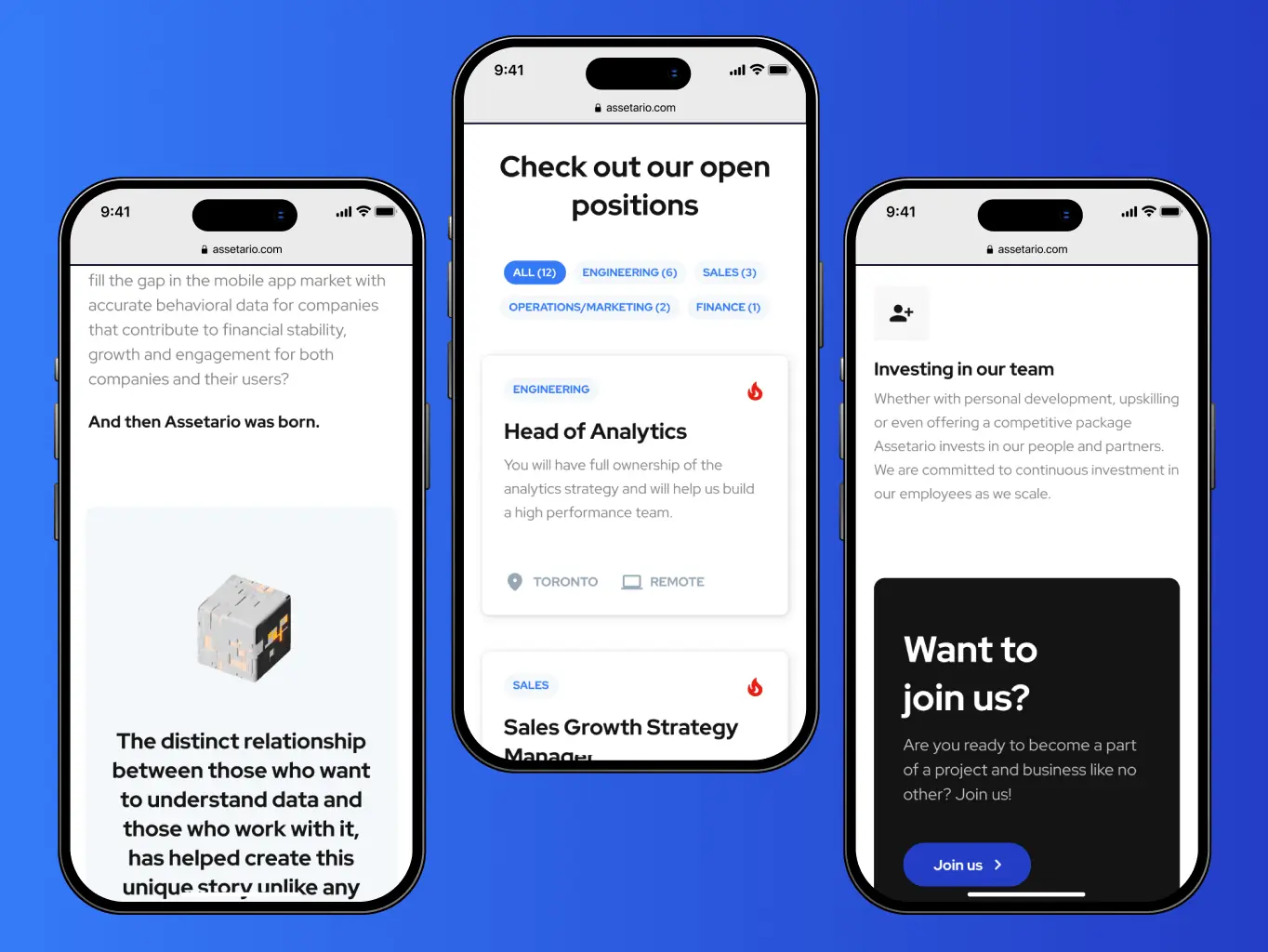 Assetario – website for the best in class platform for app personalization - Website Development - Photo 17