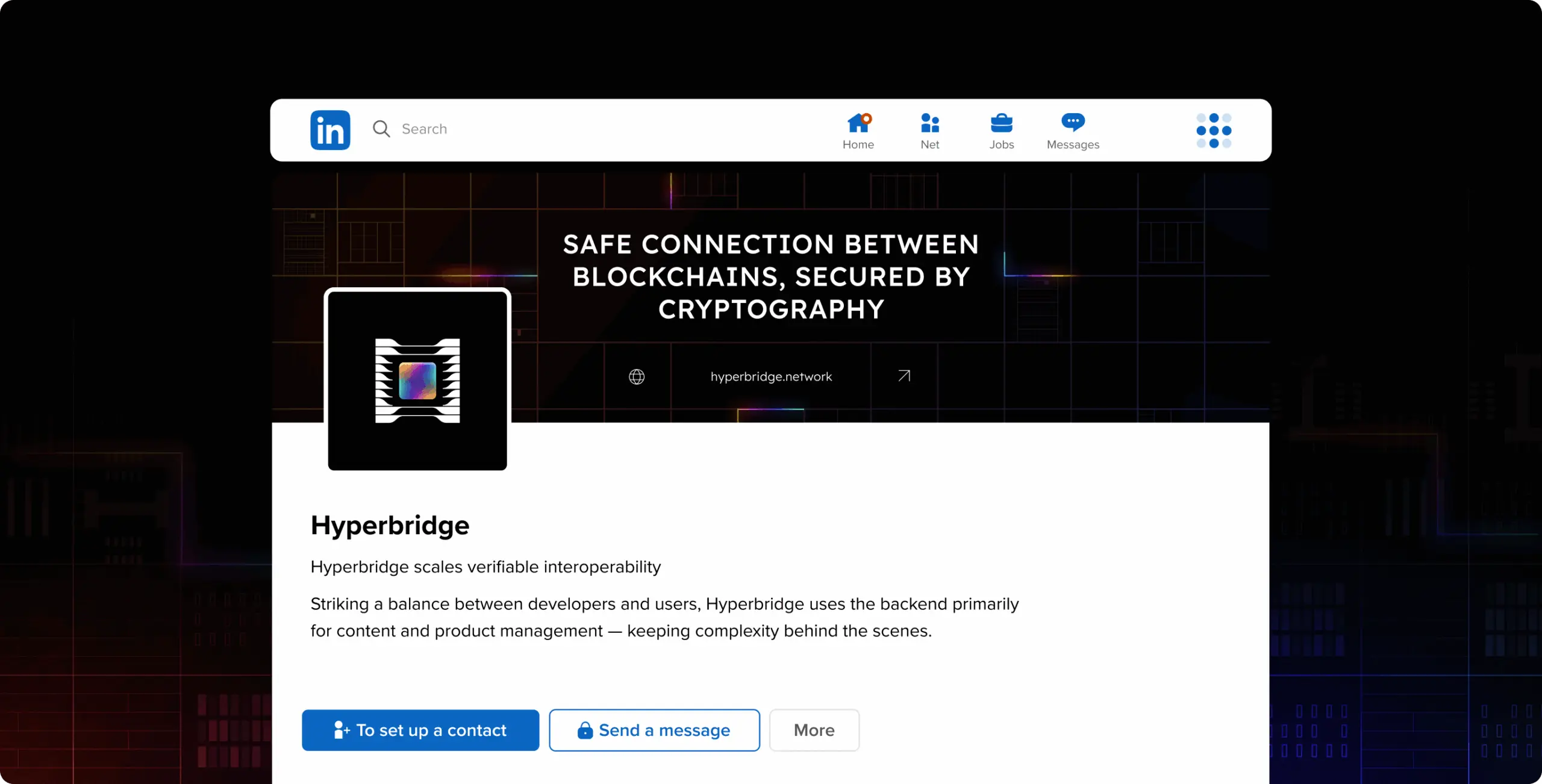 Hyperbridge – branding for redefining cross-chain connectivity - Website Development - Photo 6