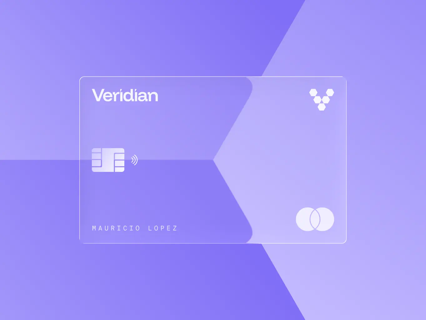 Veridian — brand identity for the infrastructure behind enterprise finance - Website Development - Photo 3