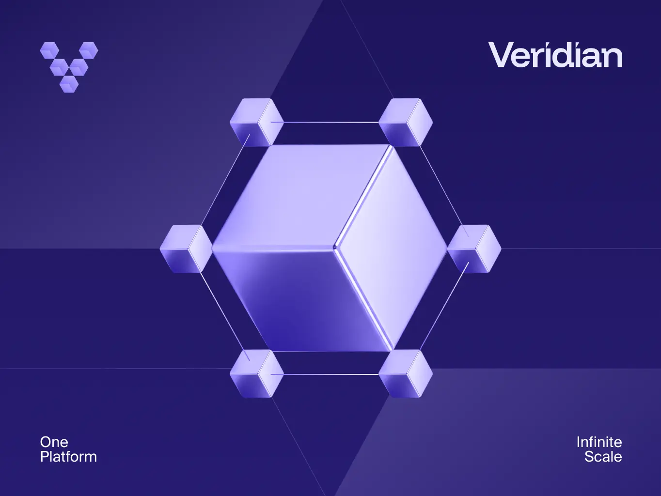Veridian — brand identity for the infrastructure behind enterprise finance - Website Development - Photo 24