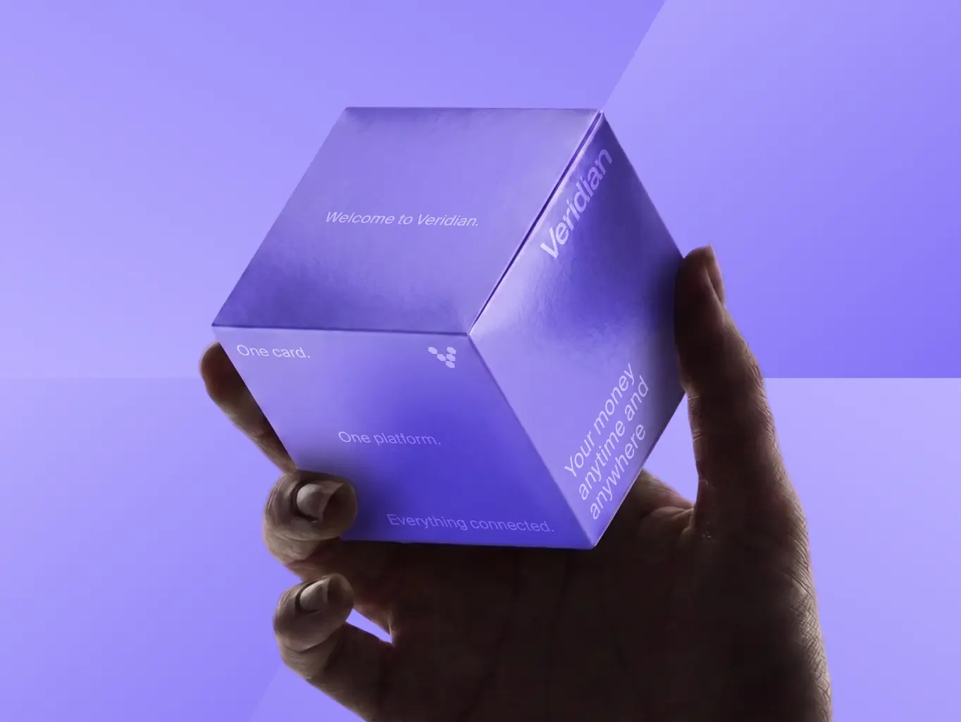 Veridian — brand identity for the infrastructure behind enterprise finance - Website Development - Photo 36