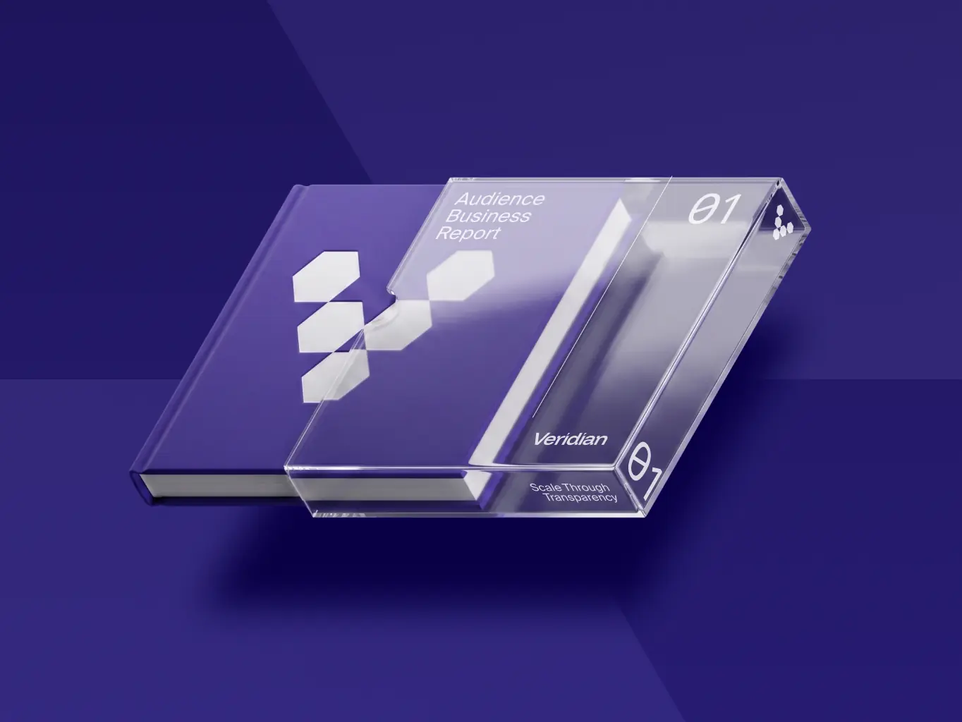 Veridian — brand identity for the infrastructure behind enterprise finance - Website Development - Photo 35