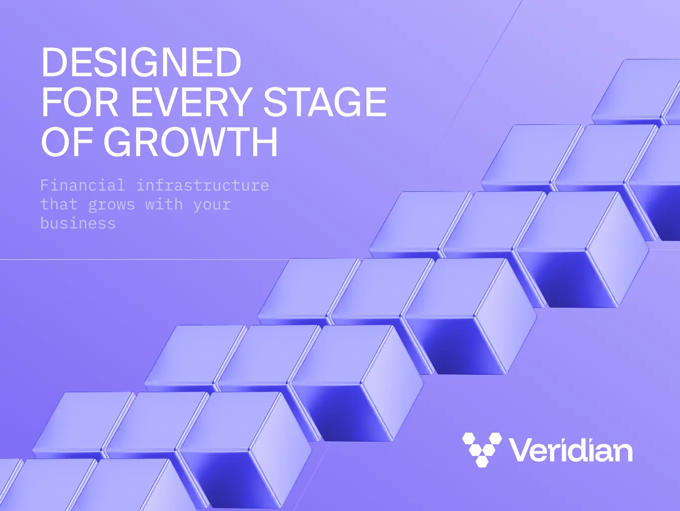 Veridian — brand identity for the infrastructure behind enterprise finance - Website Development - Photo 25