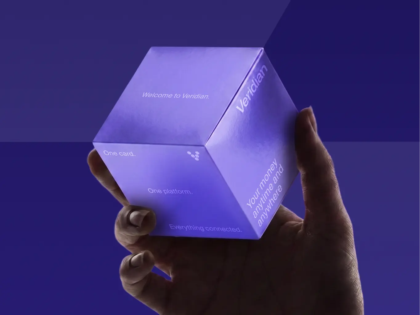 Veridian — brand identity for the infrastructure behind enterprise finance - Website Development - Photo 10