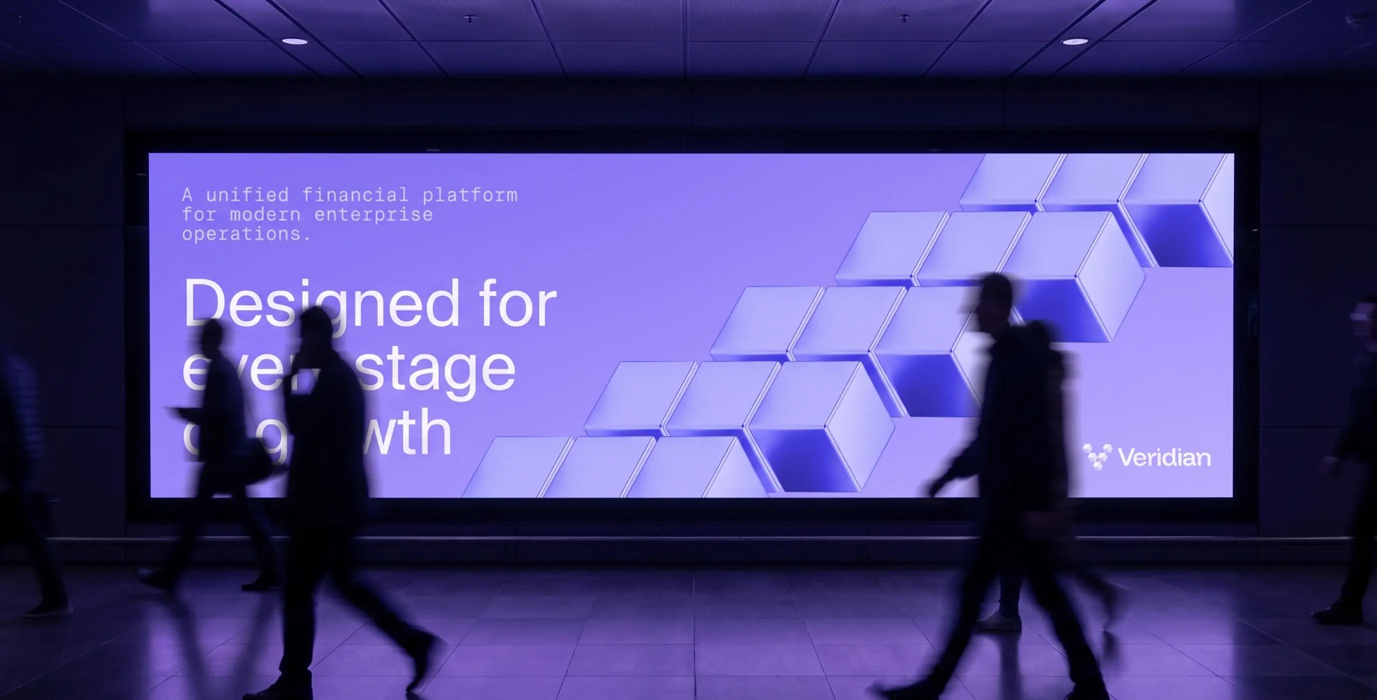 Veridian — brand identity for the infrastructure behind enterprise finance - Website Development - Photo 6