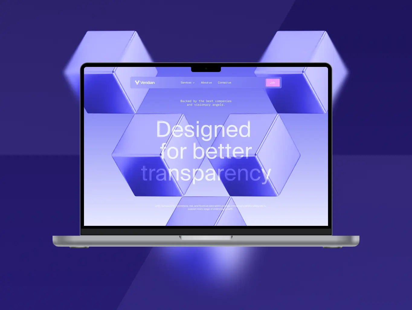 Veridian — brand identity for the infrastructure behind enterprise finance - Website Development - Photo 12