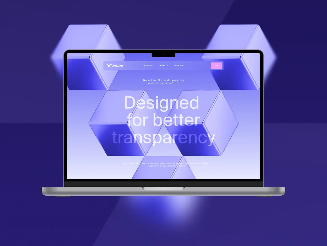 Veridian — brand identity for the infrastructure behind enterprise finance - Website Development - Photo 30