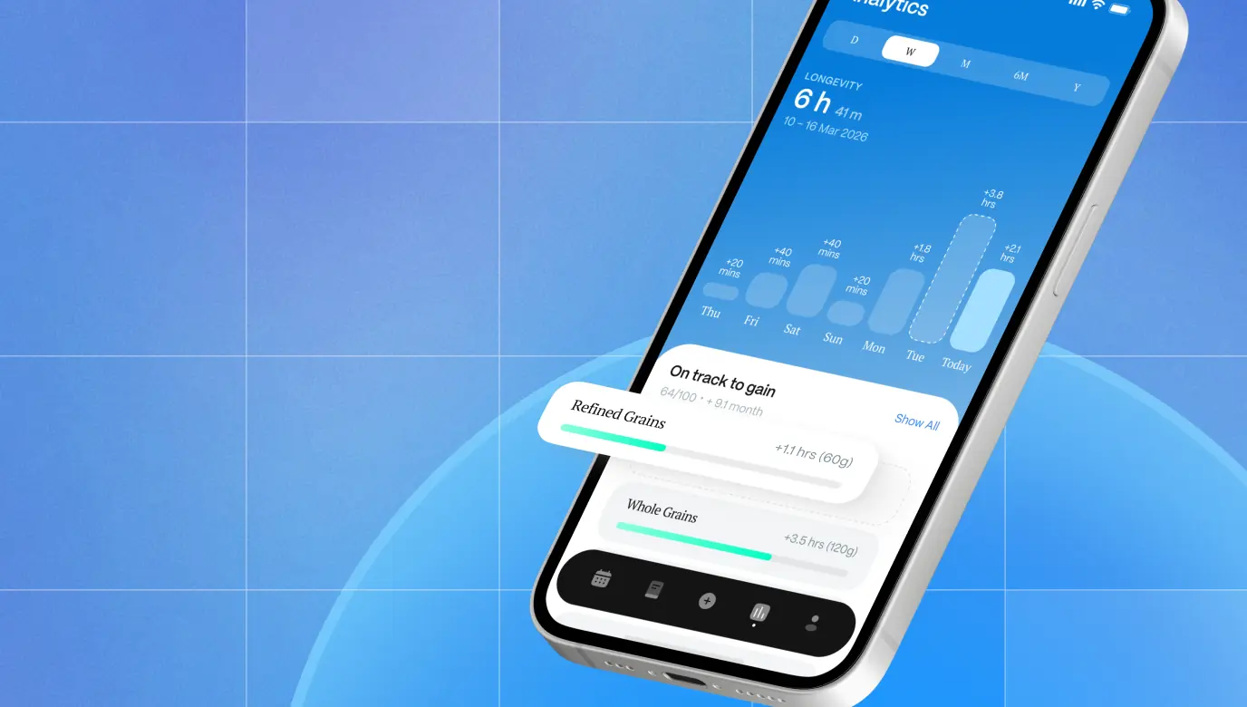 AI CHATBOT DEVELOPMENT SERVICES